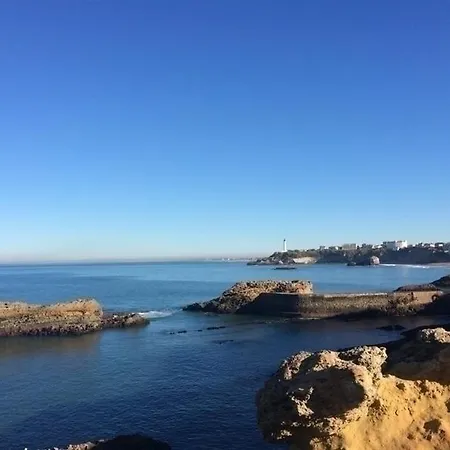Victoria Xiv : Bel A 350m Des Plages Avec Balcon Et Parking Apartamento Biarriz